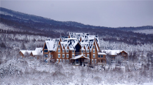 �ж��Լ���Ӫ��ѩ��