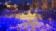 ��Һӵ�ҹ��--��Ӱ���½�