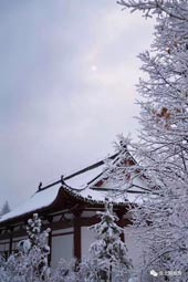 ����ѩ����Һ�09